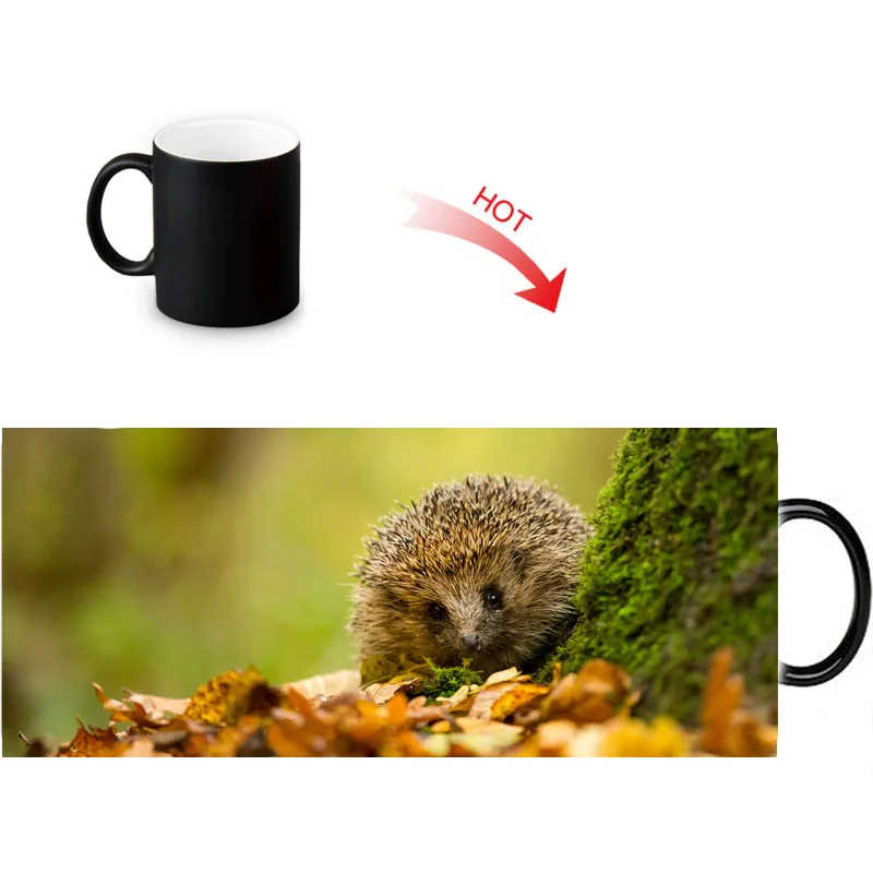 Волшебная кружка hedgehog меняющая цвет чая керамическая под заказ кофейные