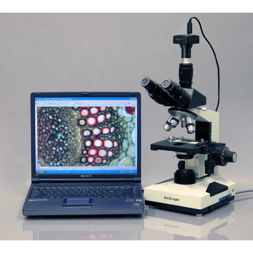 Лабораторная клиника vet микроскоп принадлежности AmScope 40X 1000X лабораторная Vet