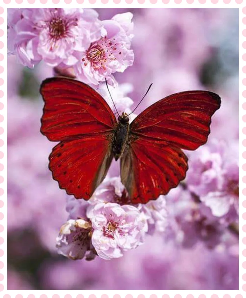 Новинка 2017 алмазная вышивка Набор для вышивки крестиком с животными полная