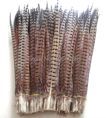

Free shipping manufacturers sale 100pcs 50-55cm 20-22inch Natural ringneck feather tail lady amherst pheasant feathers