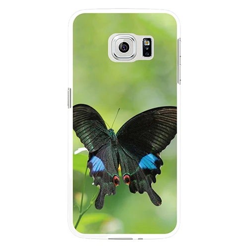 Природа насекомых бабочка чехол для Samsung S4 S5 S7 край|cover for samsung s4|case covercover |