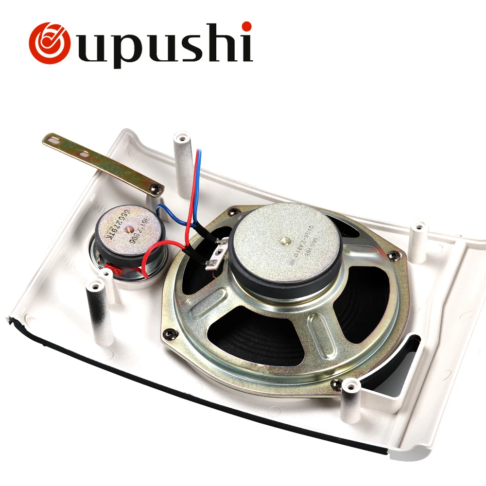 Oupushi громкоговорящей связи Системы 110V классная комната, для стен Динамик 10W 2-сторонняя стерео ABS потолочный Динамик с усилителем мощности усилитель