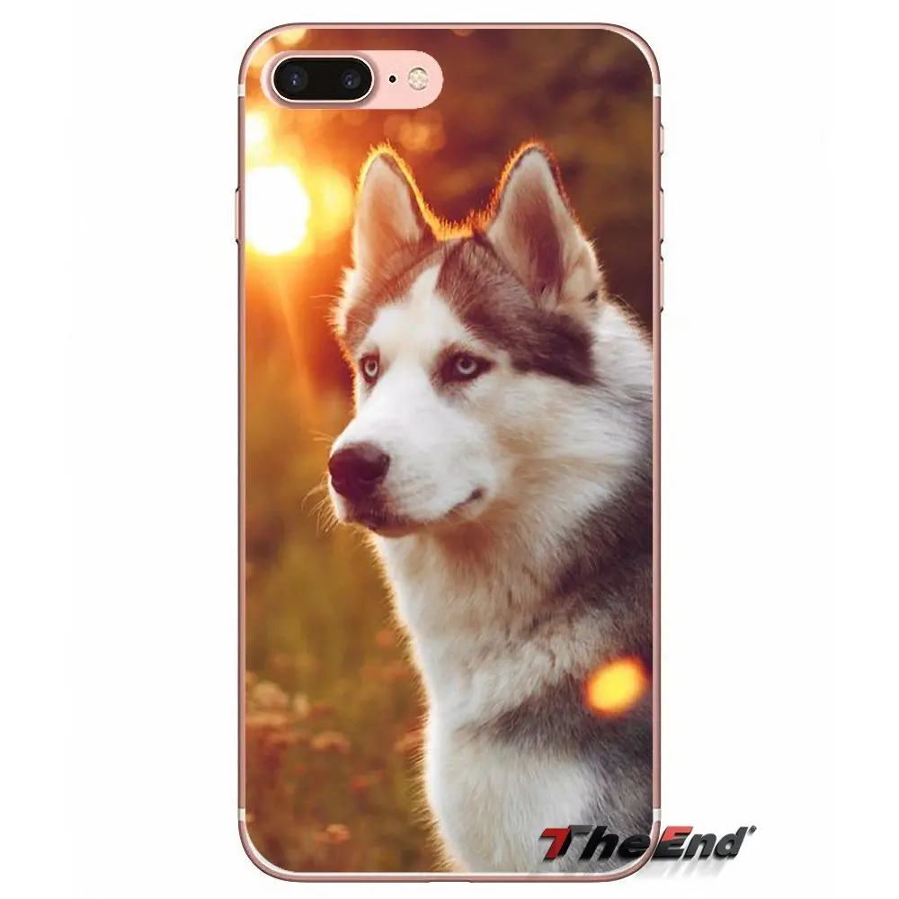 Чехол из силикагеля для Apple iPhone X 4 4S 5 5S SE 5C 6 6S 7 8 Plus 6Plus 7plus 8plus Fundas Coque|Чехлы-накладки|