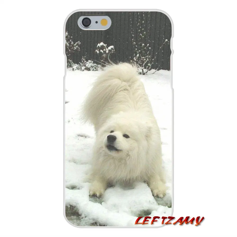 Прекрасный Samoyed собака для iPhone X XR XS MAX 4 4S 5 5S 5C SE 6 6S 7 8 Plus ipod touch Аксессуары чехлы