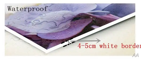 5 панельных канавас живопись искусство горный лес солнечный свет украшение для