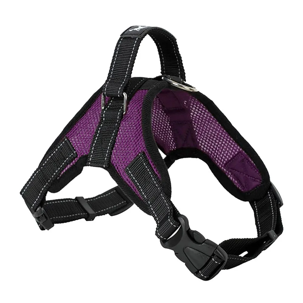 C Dog belt 2019TOP TAILUP Pet Dog Leads Chest Straps Large Pet Adjustable Comfortable Outdoor G90618 - Цвет: C