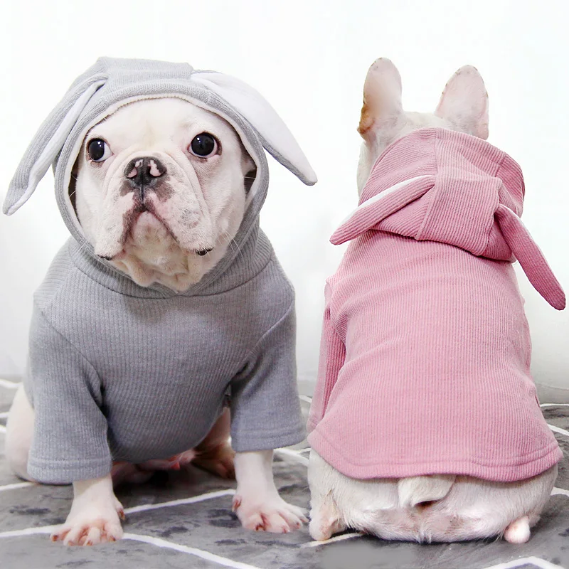 Bigeyedog собачья толстовка с капюшоном Осень зима одежда для собак mascotas ropa perro наряд