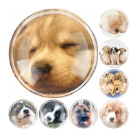 new handmade 6 size glass cute pet dog flatback camo cabochon domed diy jewelry charm photo pendant setting