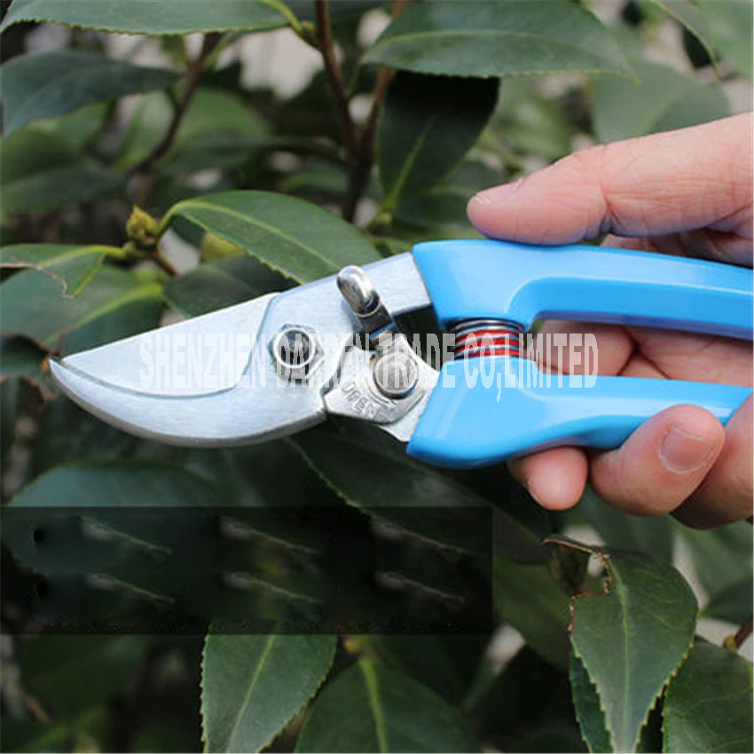 

Top Alta SK-steel shears Garden Bonsai Scissors Shears Gardening Shears Pruning Trees Grafting Scissors Tool 1025aluminum alloy