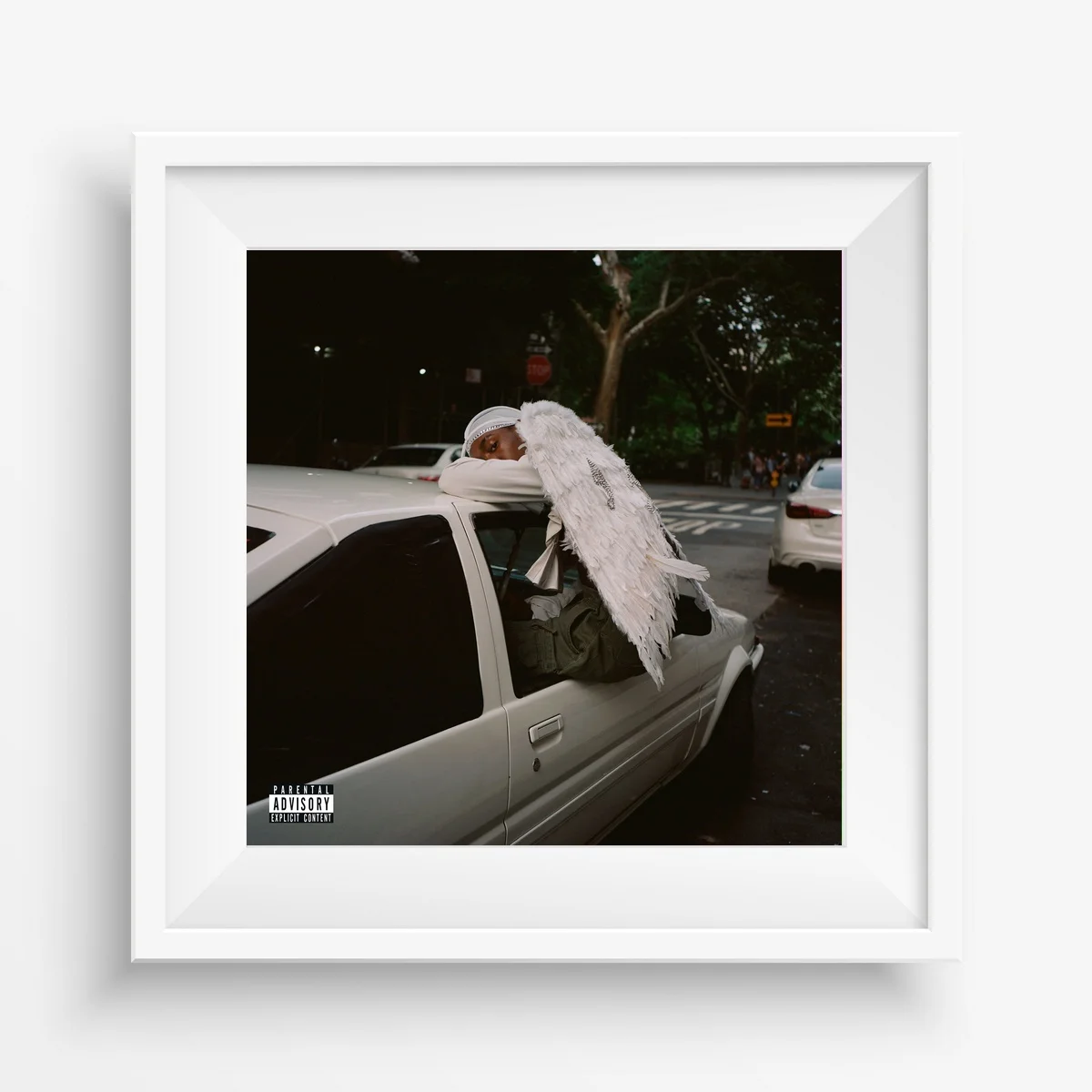 Альбом с изображением черного лебедя альбом для прослушивания музыки