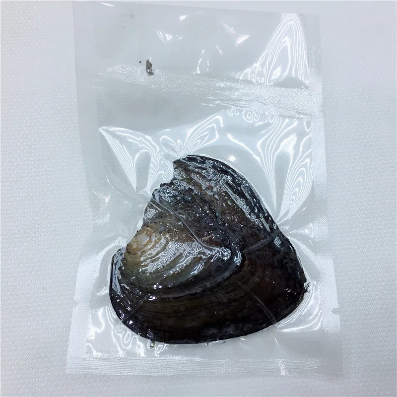 Одна бусина одна Клима Oyster пресноводный жемчуг 7 мм Жемчуг Овальный 12 цветов DIY