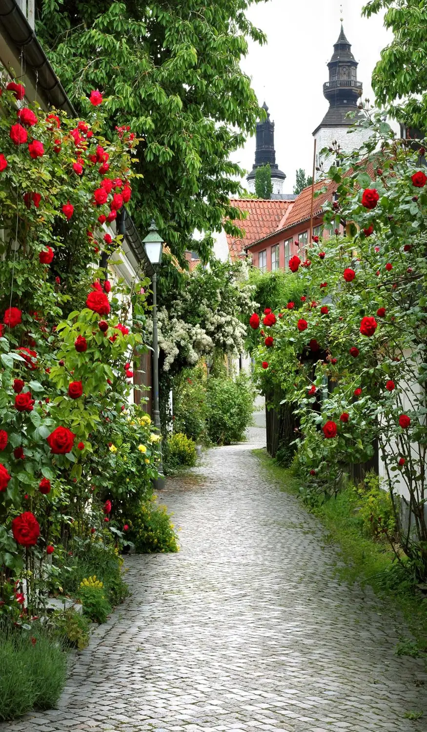 Шторы на окна стереоскопические для гостиной и спальни