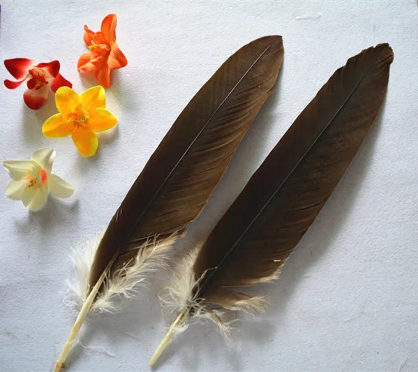 Новинка! Продажа 20 шт./лот красивые птицы Орел перья 35 50 см diy декоративные