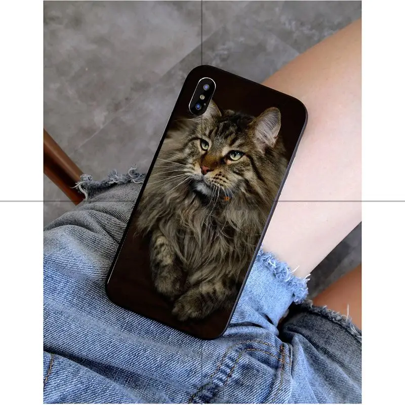 Babaite pet мейн-кун кошка черный мягкий силиконовый чехол для телефона чехол для Apple iPhone 8 7 6 6S Plus X XS MAX 5 5S SE XR Чехол для мобильного телефона s