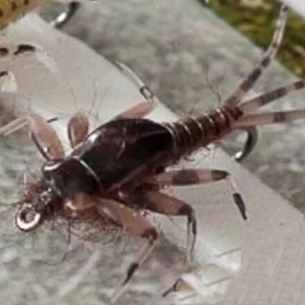 Риверранс реалистичные мухи Mayfly Нимфа мухи выбор цветов форель УФ супер крепкие мухи - Цвет: Brown 16 Size