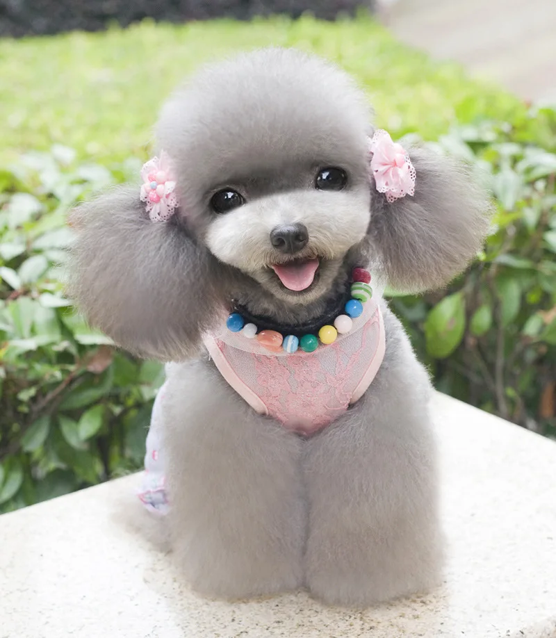 Милое кружевное пальто с бантиком и принтом Щенячий патруль для маленьких собак