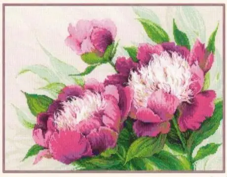 

14/16/18/27/28 Gold Collection Counted Cross Stitch Kit Pink Peonies Peony Flower Flowers 100-039 Riolis-