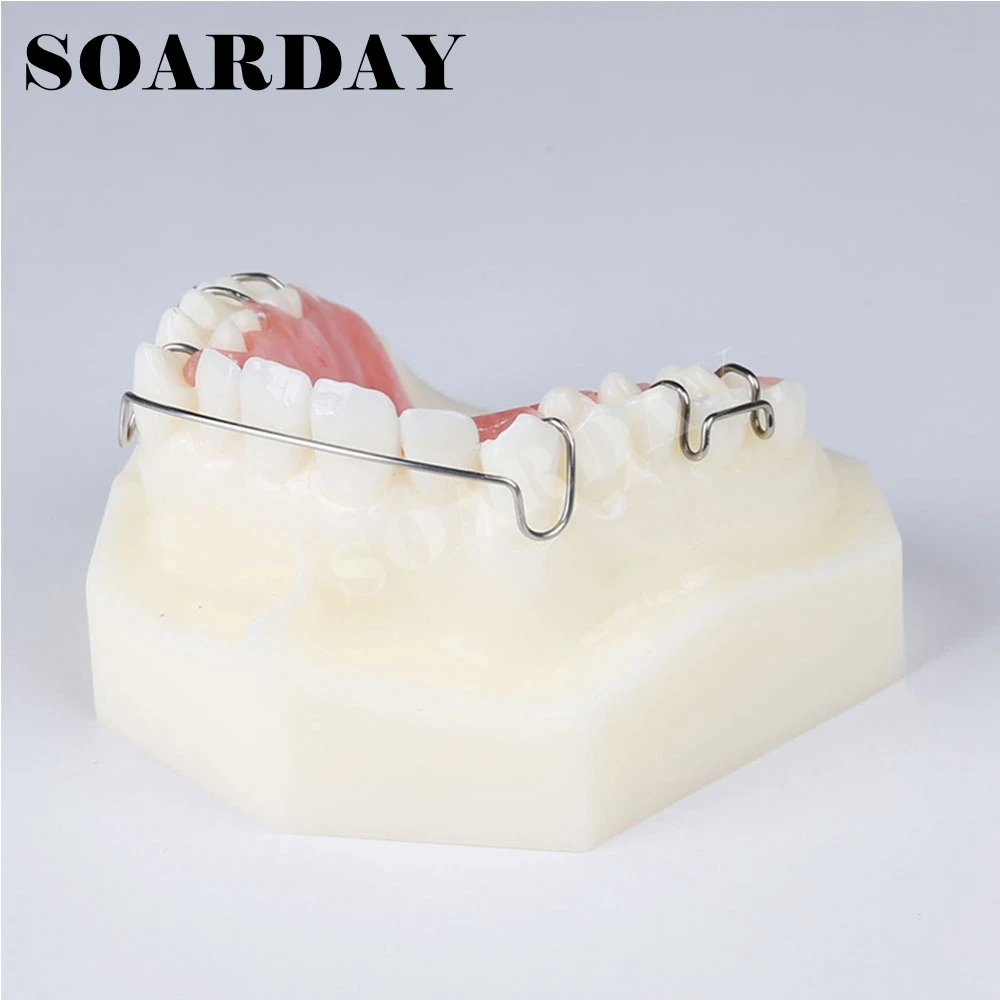Зубной фиксатор демонстрационная модель ортодонтической терапии|orthodontic model|dental