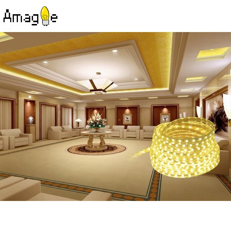 SMD 5050 AC 220V Гибкая светодиодная лента 1 м/2 м/3 м/5 м/10 м/20 м/50 м + штепсельная вилка 60
