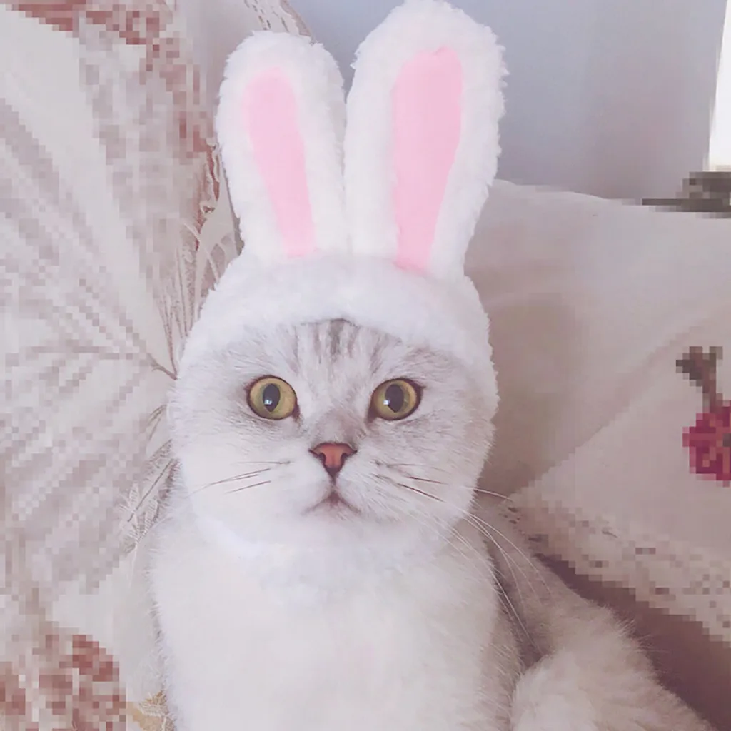Cat Bunny Rabbit Ears Hat Pet Cosplay Costumes For Small Dogs Kitten Party Costume New Arrival Dropshipping |