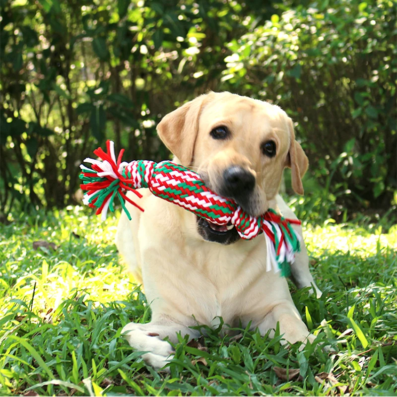 Домашние моляры ручной работы узелковые собаки игрушки для домашних животных