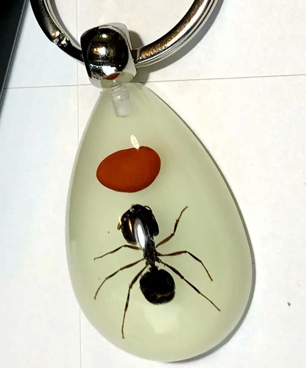 YQTDMY 10 шт. Мода аксессуары, очаровательный Red Bean Ant световой брелок капля для ключей
