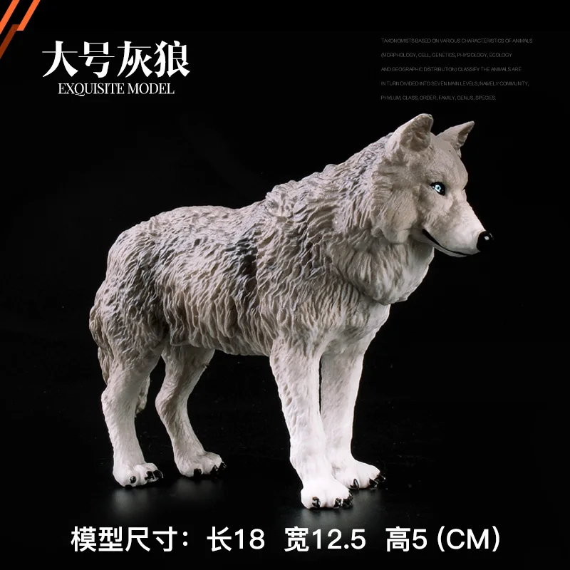 Big gray wolf Дикий зоопарк, модели животных, большой серый волк, фигурки, детские развивающие игрушки, подарок для детей, кукла - Цвет: Big gray wolf