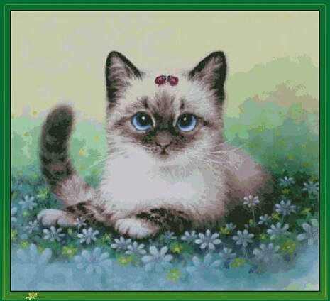 

FREE Shipping Top Quality popular counted cross stitch set cat and ladybug ladybird, kitten in garden