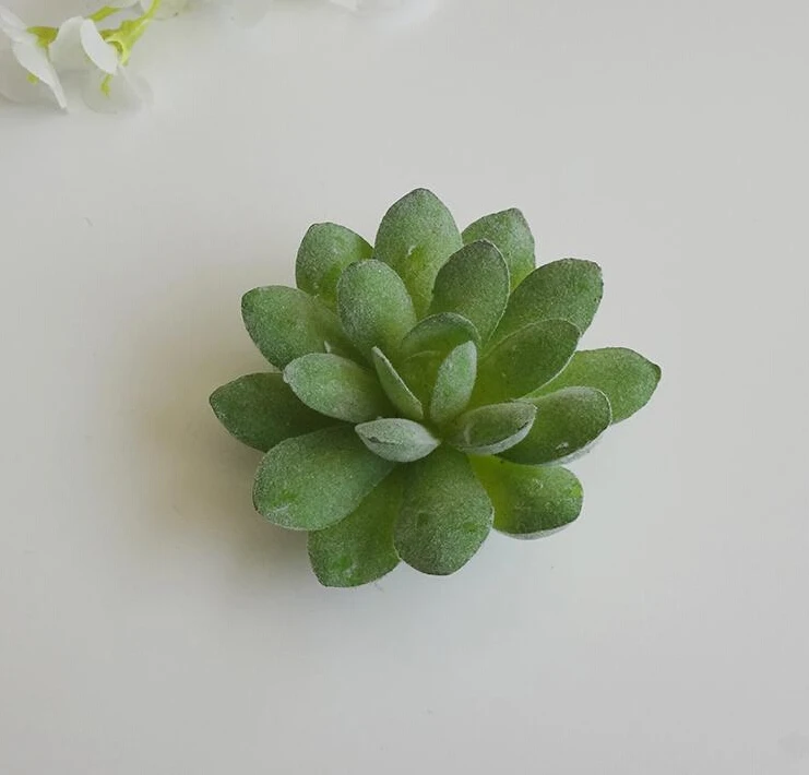 Фотофон для фотографий суккулент|decoration party|decorative decorativedecoration table party |