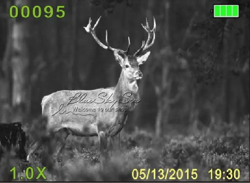 LS 650 6X50 720P 350 м Диапазон Инфракрасный взгляд ночного видения Goggle монокулярное