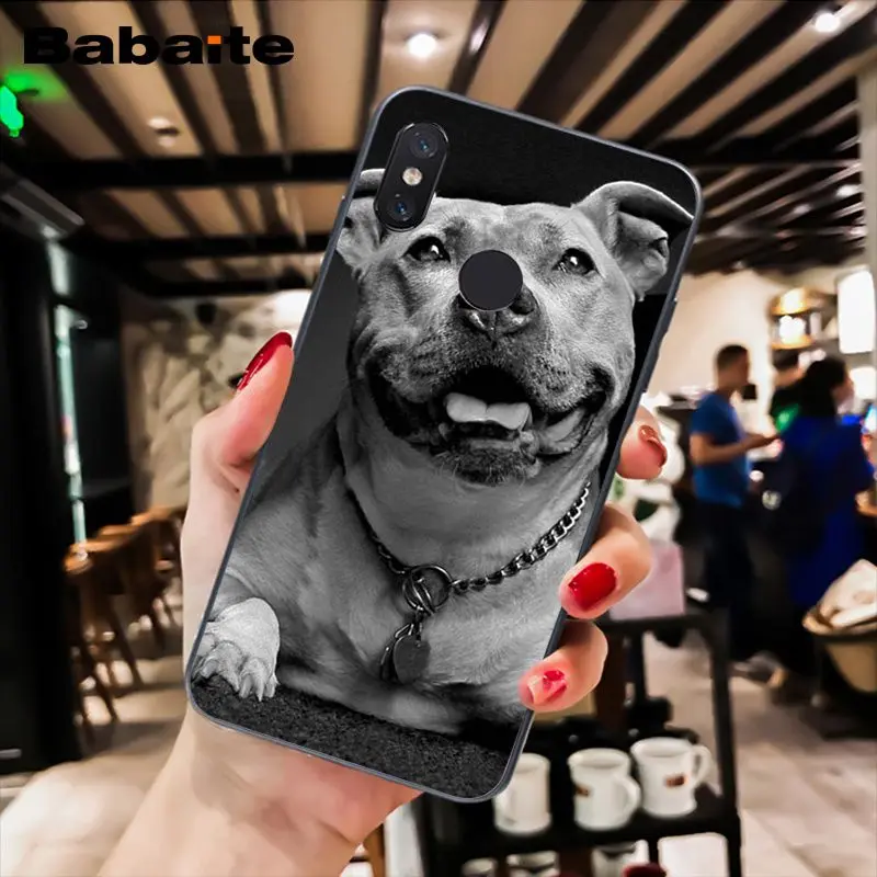 A4 Babaite питбуль прекрасная собака защитный чехол для телефона для Xiaomi MiA1 A2 lite F1 Redmi8 6A 4X 5Plus S2 Note7 8Pro 5A 7A - Цвет: A4