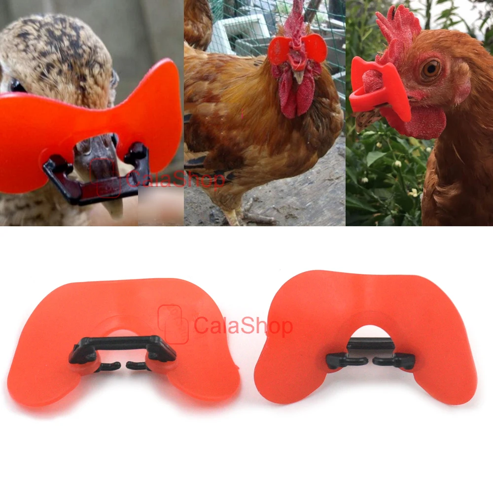 Мягкие безпинцевые очки для птицы фазана 20 шт./лот | Дом и сад