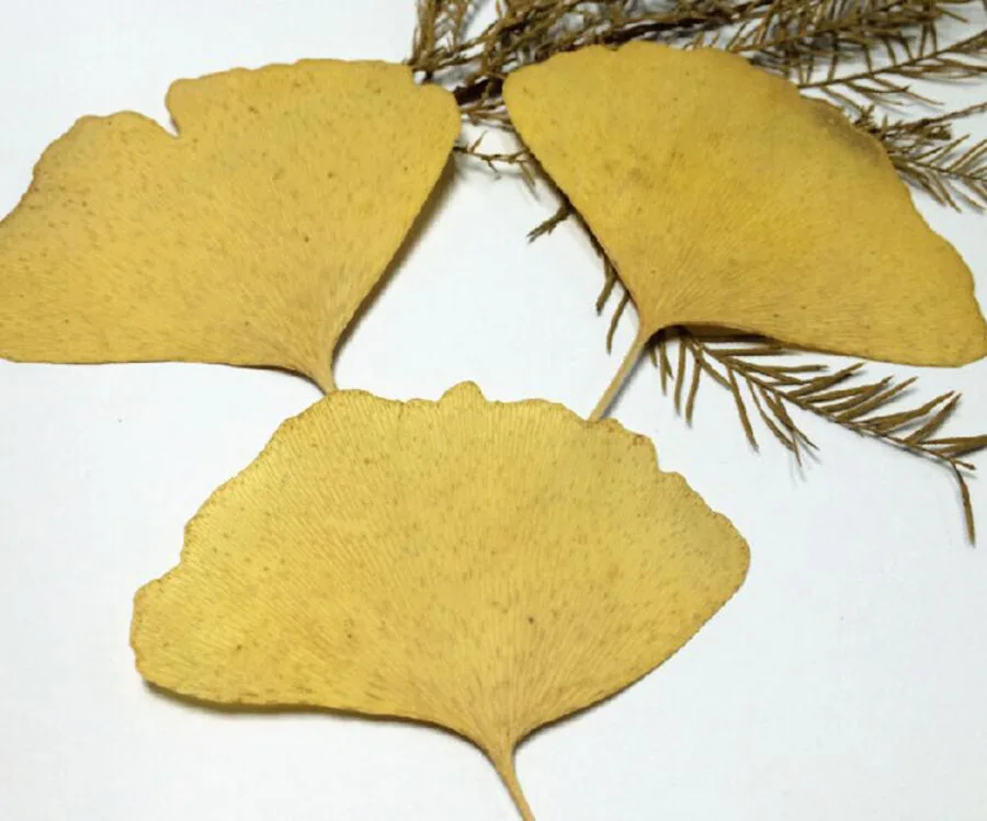 60 шт. фотообои с листьями Ginkgo 4-6 см | Дом и сад