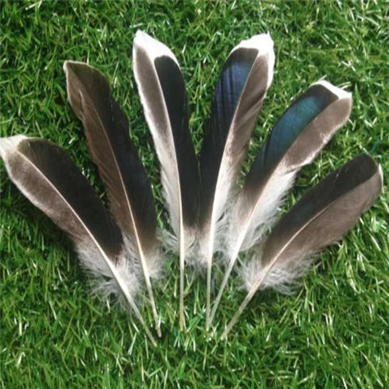 Красиво! 10 шт. Симпатичные перья молоткообразного цвета 4 6 дюймов/10 15 см
