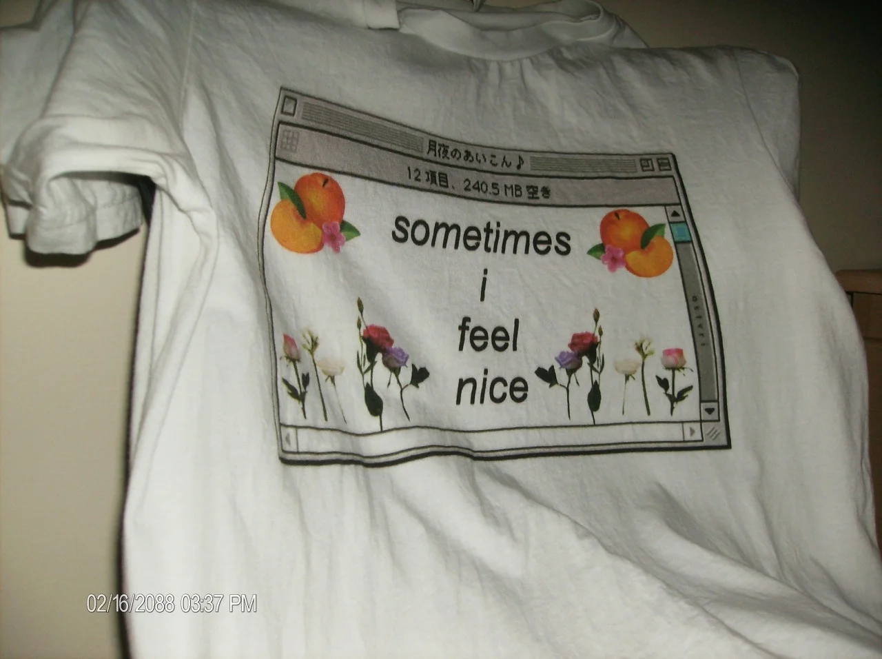 sunfiz YF Sometimes I Feel Nice Windows Flowers Print Tumblr Fashion Grunge Aesthetic T-Shirt Indie Cool Hipsters | Женская одежда