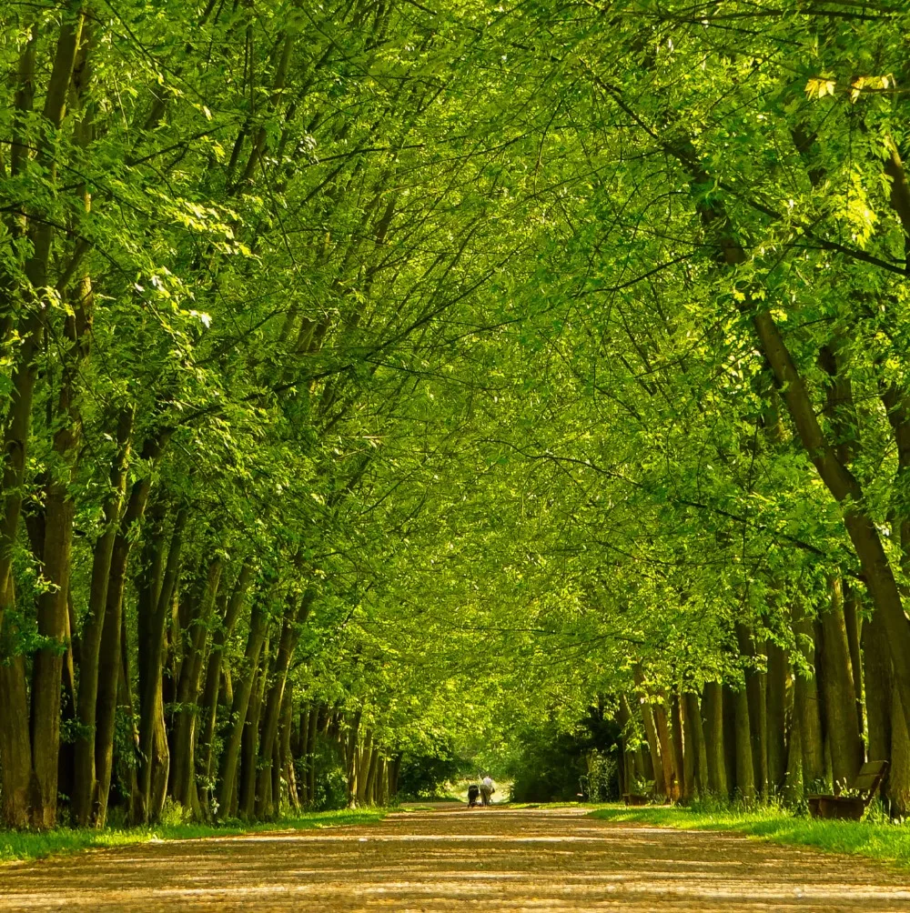 3 панельные холщовые картины настенные для гостиной модульные декоративные