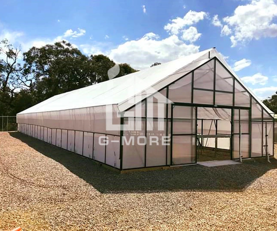 Открытый зеленый дом 4 сезона однопоточный гигантский хобби коммерческий