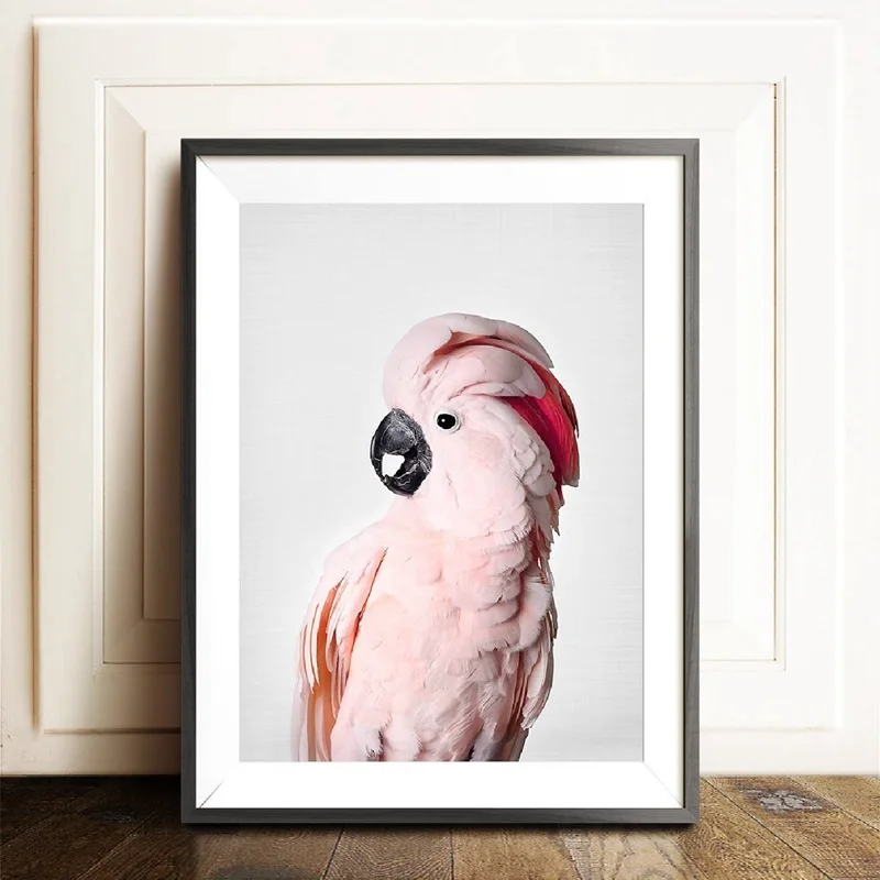 Картина с розовыми птицами Cockatoo на холсте настенные картины животными попугаями