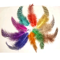 small feather 200pcslot 5 12cm multicolor guinea fowl spotted feathers loose guinea hen featherscraft feathers
