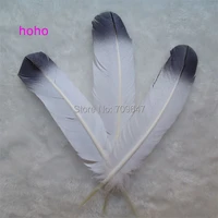 plumas 50pcslot10 12inches 25 30cm longpainting turkey wing quill feathersblack tipped turkey quills for showgirl costume