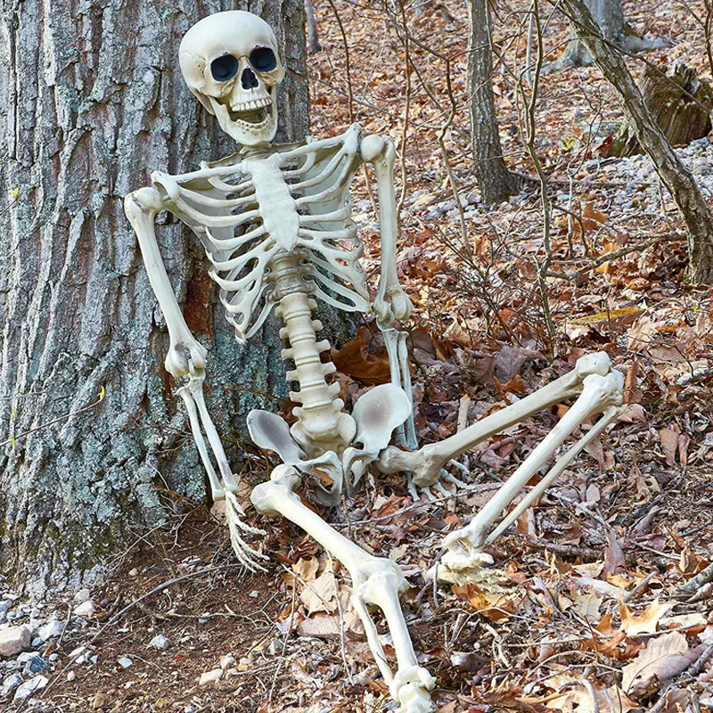 

165cm Halloween Skeleton Tool Holiday Party Accessories room escape Holiday Tricky Gadget Kit Terror Plastic Halloween Skeleton