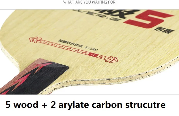 DHS Malong Новинка PG5 PG5X POWER-G 5 PG 5 углеродное лезвие для настольного тенниса(5+ 2 Arylate carbon) ALC ракетка для пинг понга