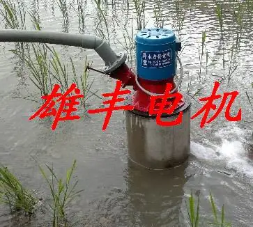 600 Вт полный медный однофазный постоянный магнит Наклонный гидроэлектрический