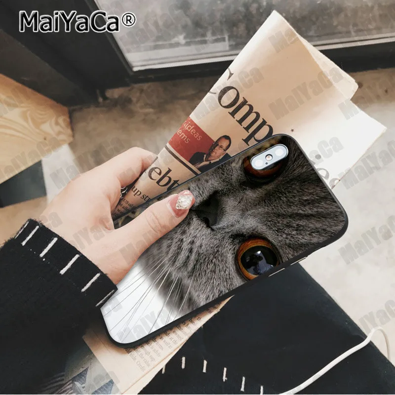 A7 MaiYaCa милый Британский короткошерстный кот Новинка чехол для телефона Fundas чехол для Apple iphone 11 pro 8 7 66S Plus X XS MAX 5S SE XR чехол - Цвет: A7