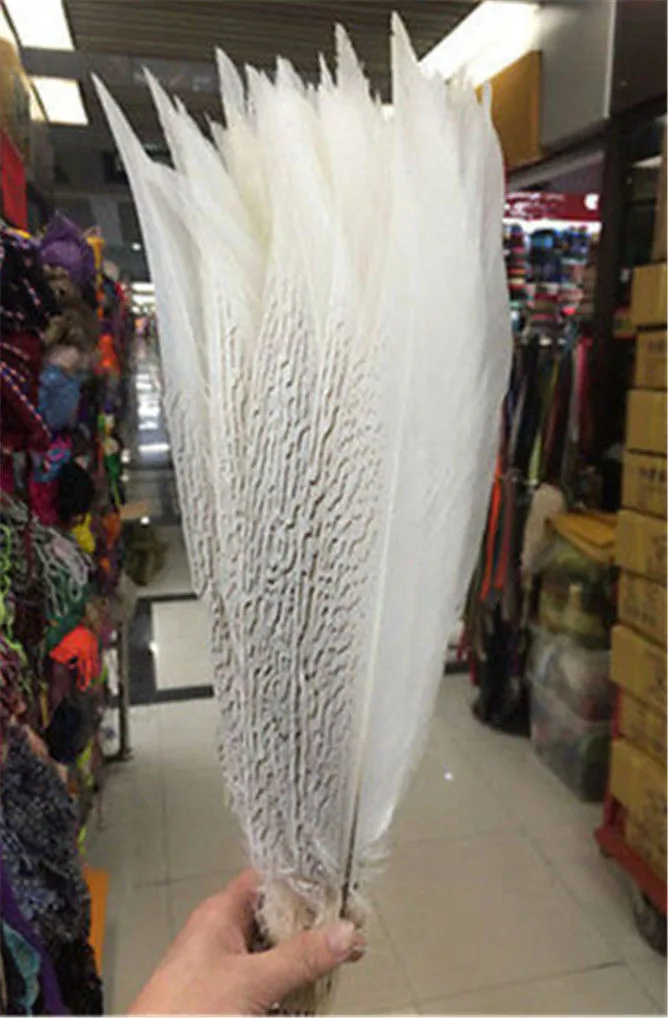 

wholesale 50 PCS natural silver pheasant chicken tail feathers/18-20inch/45-50cm