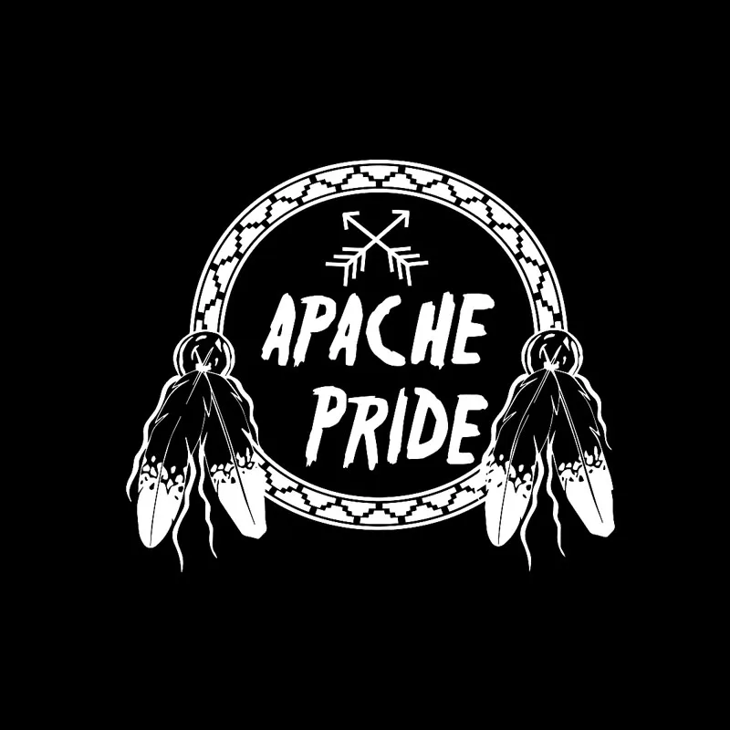 YJZT 18 см * 15 1 Apache Pride со стрелами в Ловец снов круглая с перьями виниловая наклейка