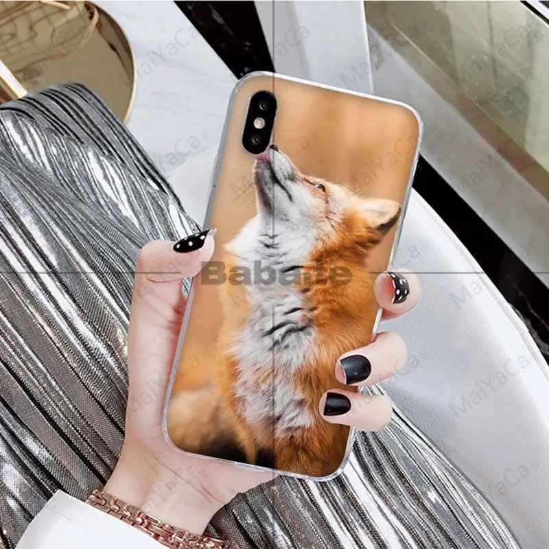 Babaite животное енот лиса красочные милые аксессуары для телефонов Чехол для iPhone X XS MAX 6 6S 7 7plus 8 8Plus 5 5S XR