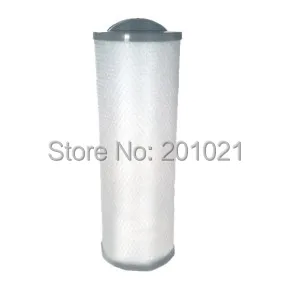 Арктический спас и Койот 2009 г. В. Серебряный Сентинел фильтр для гидромассажной