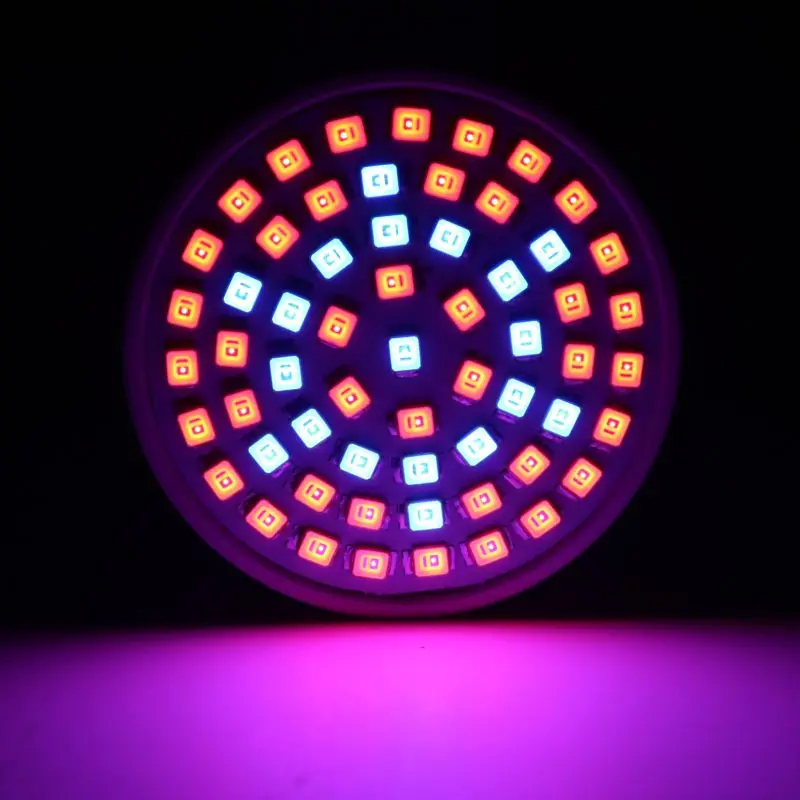 grow light LARZI полный спектр 220V Светодиодный светильник E27 E14 MR16 GU10 B22 комнатное растение лампы для растений, ваза для цветов гидропоники Системы светодиодный светильник Инж - Испускаемый цвет: grow light