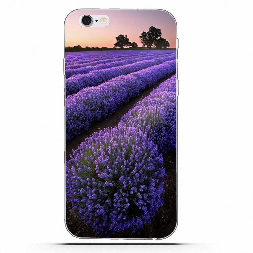 Вексоэк ТПУ Кожа Рисунок Прованс Лавандовый Фиолетовый Цветок Для LG G2 G3 мини Спирит G4 G5 G6 К4 К7 К8 К10 2017 V10 V20 V30 на.